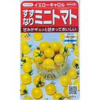  овощи семена .. становится мини помидоры желтый Carol sakata. tane