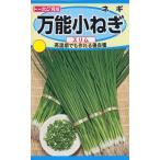  овощи семена универсальный маленький лук порей тонкий to- ho k. tane