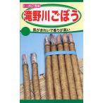 野菜種子 滝野川ごぼう トーホクのタネ