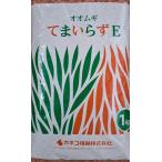 【種子】オオムギ てまいらずE 1kg カネコ種苗のタネ