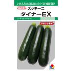  овощи семена кабачок Dyna -EXtakii вид рассада. tane