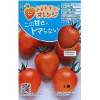  овощи семена помидор Berry orange tokita вид рассада. tane