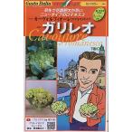  овощи семена Gusto Italia цветная капуста машина vorufi ole (romanesko модель ) канава Leo tokita вид рассада. tane