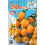  овощи семена мини помидоры Caro Chan tokita вид рассада. tane