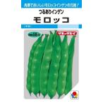 野菜種子 つるありインゲン モロッコ タキイ種苗のタネ