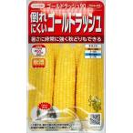 [ семена ] кукуруза Gold Rush 90 падающий трудно Gold Rush sakata. tane