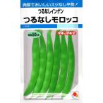 野菜種子 つるなしインゲン モロッコ タキイ種苗のタネ