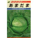  овощи семена капуста . еще . Ishii . вид место. tane