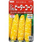 [ семена ] сладкий кукуруза Peter кукуруза sakata. tane