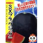  овощи семена ...3X Black Jack наан to вид рассада. tane