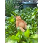 MURATAYA DAD BEAR resin dado Bear - маленький 