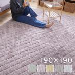ラグ カーペット 2畳 ラグマット 厚手 洗える 絨毯 洗えるラグ おしゃれ 北欧 フランネル オールシーズン ホットカーペット対応 190×190