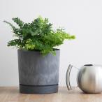  Польша производства цветочный горшок поддонник имеется p Roth часть u-boB 18cm XS размер 100% утилизация пластиковый pot легкий посадочная машина горшок покрытие 
