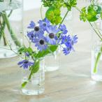 HARIO высокий лабораторный стакан 50mL ( специальная цена SALE)