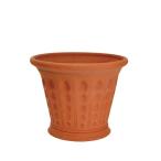 ウィッチフォード 植木鉢 貝殻ポット 直径23cmサイズ Whichford Pottery (2025年4月再入荷)