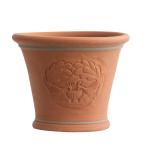 ショッピング植木鉢 【予約販売】ウィッチフォード 植木鉢 浅型 ハーモニープランター 直径34cmサイズ Whichford Pottery