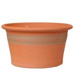 ウィッチフォード 植木鉢 RHSワイルドダフォディルプランター 直径50cmサイズ Whichford Pottery