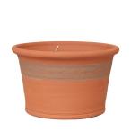 ウィッチフォード 植木鉢 RHSワイルドダフォディルプランター 直径39cm Whichford Pottery
