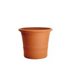 ウィッチフォード 植木鉢 バクサスポット 直径17cmサイズ Whichford Pottery