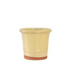 ウィッチフォード 植木鉢 グレイズド バクサスポット 直径17cmサイズ クリーム Whichford Pottery