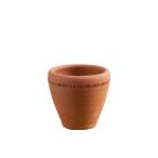 ウィッチフォード 植木鉢 オーリキュラ ポット 直径10cmサイズ Auricula Pot Whichford Pottery