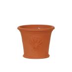 ウィッチフォード 植木鉢 ヒドコート ラベンダー ポット 直径22cmサイズ Whichford Pottery