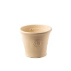 ウィッチフォード 植木鉢 ヒドコートラベンダーポット 直径16.5cmサイズ クリーム Whichford Pottery