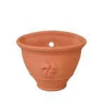 ウィッチフォード 植木鉢 スクワールシリーズ ウォールポット 幅26cmサイズ Whichford Pottery 当店オリジナル