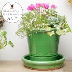 ショッピング皿 Whichford ウィッチフォード 植木鉢 受け皿付き 塗り鉢 セット グレイズド バクサスポット 直径20cm + 水受け 直径22cm（G+）