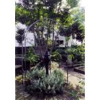  купол арка основной (ND-36433)