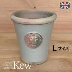 L[K[f(Kew Gardens)ItBVAؔ Xs[EL[|bg LTCY(D22cm~H25cm)