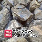 割栗石 庭石 ロックガーデン 石 ガ�