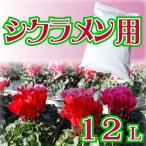 シクラメンの土 12L