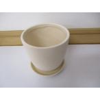 ¡Ú±ø¤ì¡¦¤Ò¤Ó³ä¤ì¤¢¤ê¡¦Æñ¤¢¤ê¾¦ÉÊ¡Û25%OFF ´Ý·¿¡¡Æ«´ï¤ÎÈ¡¡¥¢¥¤¥Ü¥ê¡¼¡¡¥×¥é¥ó¥¿¡¼¡¡¥·¥ó¥×¥ë¡¡¤ª¤·¤ã¤ì¡¡Éý10.5*±ü¹Ô10.5*¹â¤µ10cm