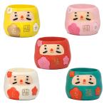 [ цветок .daruma] little resin pot 5 шт. комплект Новый год новый год удача экспертиза .. цвет суккулентное растение Mini посадочная машина симпатичный бардачок ширина 5.4* глубина 5.4* высота 4cm