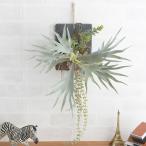 フェイクグリーン壁掛け額ブラウンビカクシダウォールハンギングスレート20壁...