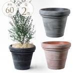 大きめ 鉢 プラスチック おしゃれ 