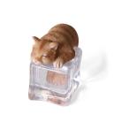 オブジェ インテリア 動物 おしゃれ オーナメント 飾り 冷やしアニマル 氷で涼む ひんやりネコ 茶トラ キャット