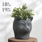 アンティーク プランター パクスロマーナ 猫の王 ブラック  プランターポット おしゃれ 鉢 底穴あり