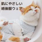  кошка . после одежда окантовка кошка одежда кошка для рука . после одежда защита одежда одежда Elizabeth кошка царапина облизывание царапина . защита .. кошка 