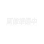 百葉箱理振型用 脚 ステンレス脚 H1-S 大平産業  爆買