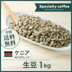 生豆 コーヒー 1kg ケニア AA Qグレード 送料無料 大山珈琲