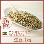 生豆 コーヒー 1kg モカ ゲイシャ G-3 ナチュラル エチオピア 送料無料 大山珈琲