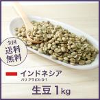 ショッピングバリ 生豆 コーヒー 1kg バリ アラビカ G-1 送料無料 大山珈琲