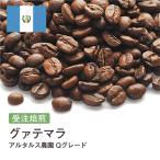 コーヒー豆 受注焙煎！400g グァテマラ アルタルス農園 Qグレード [ニュークロップ] コーヒー [選べる焙煎度合い] コーヒー豆 送料無料 大山珈琲