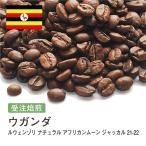 コーヒー豆 受注焙煎！400g ウガンダ AFRICAN MOON JACKAL ルウェンゾリ 2022年クロップ [選べる焙煎度合い] コーヒー豆 送料無料 大山珈琲