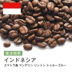 コーヒー豆 2kg 受注焙煎！ インドネシア TRUE BLUE スマトラ マンデリン リントン [選べる焙煎度合い] コーヒー豆 送料無料 大山珈琲