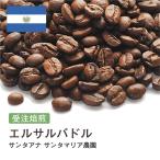 コーヒー豆 受注焙煎！400g エルサルバドル サンタアナ サンタマリア農園 [選べる焙煎度合い] コーヒー豆 送料無料 大山珈琲