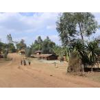 カフェインレスコーヒー生豆コーヒー...