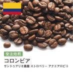 DRIP TRIP コロンビア サントゥアリオ農園 ストロベリー アナエアロビコ コーヒー豆 粉 受注焙煎 珈琲 1kg 2kg ギフト ポイント消化 送料無料